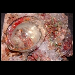 Breathing Inside the Treasure detail 12x12 in.jpg